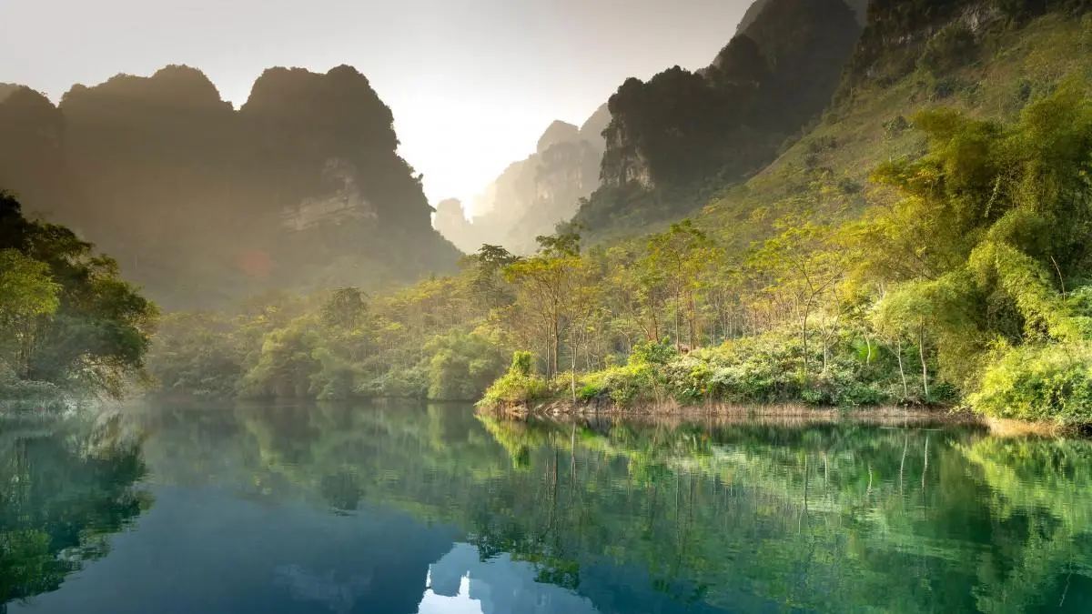 高端数字化高端
